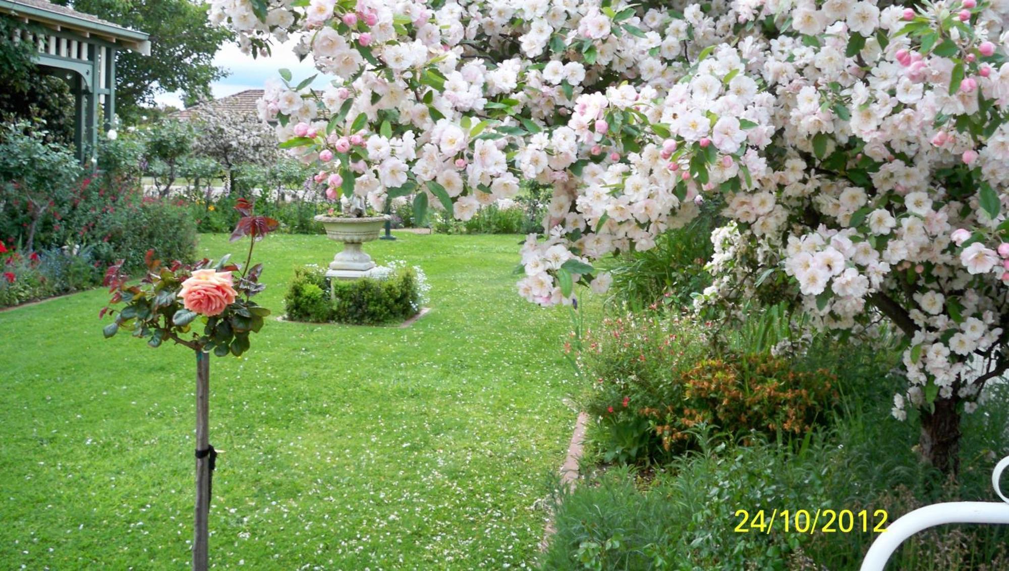 Dalfruin B&B Бернсдейл Екстериор снимка